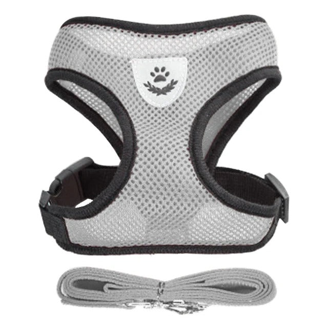 Katten en honden harnas