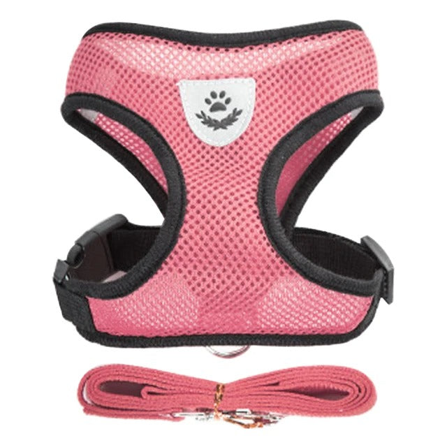Katten en honden harnas