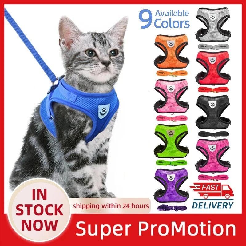 Katten en honden harnas