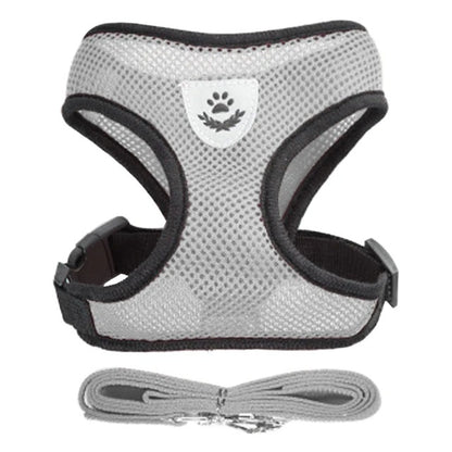 Katten en honden harnas
